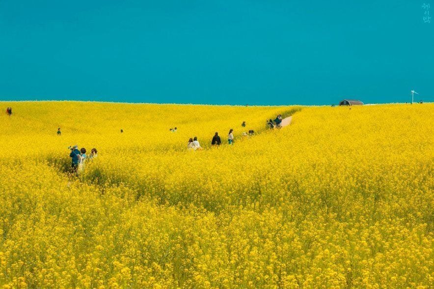 촬영 장소만 봐도 분위기 느껴지는 넷플드 안나라수마나라 | 인스티즈