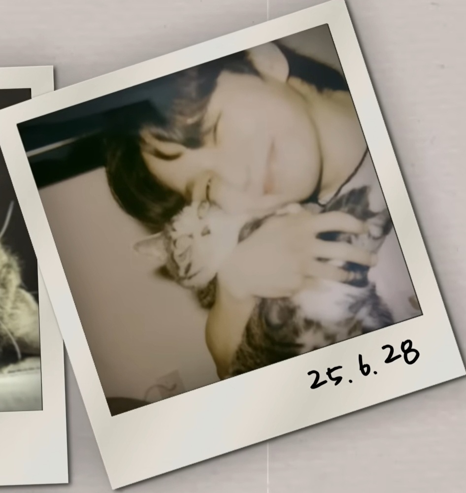 유승호 "최대한 많은 고양이들을 무지개다리 건널때까지 보호하는게 목표이자 꿈” | 인스티즈