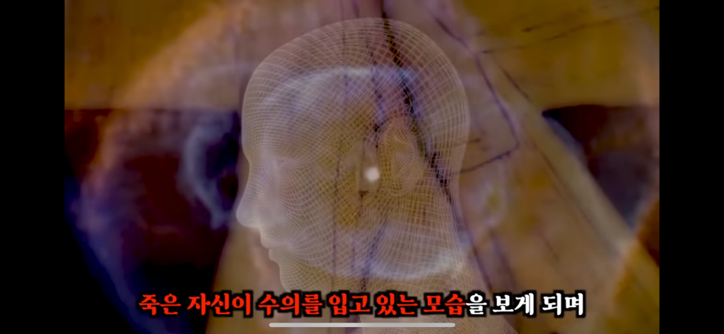 죽고나서 지구로 환생안하는 방법 4탄 | 인스티즈