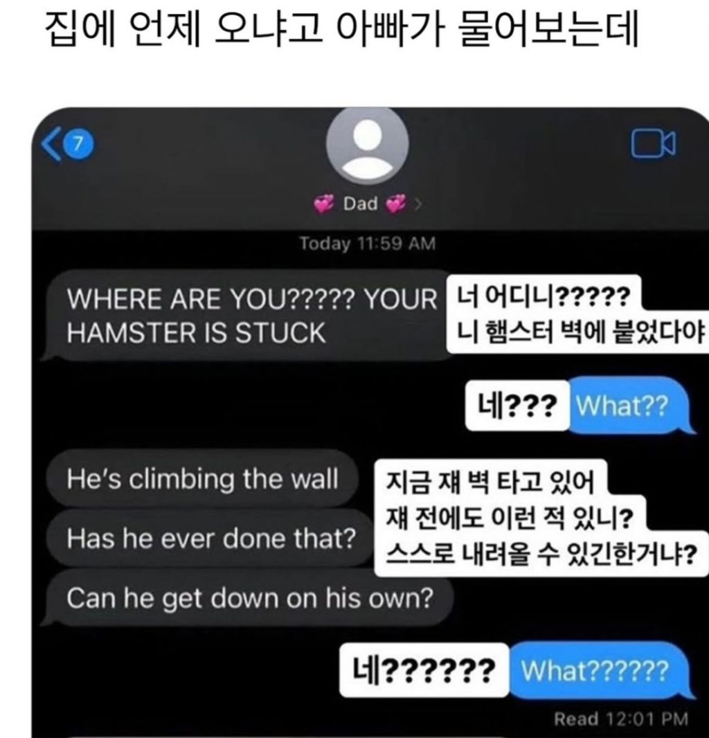 집에 언제 오냐고 아빠가 물어보는데 | 인스티즈