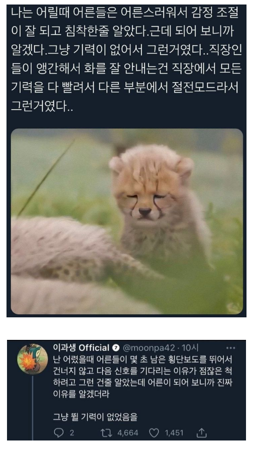 어른이 되면 침착해지는 이유 | 인스티즈