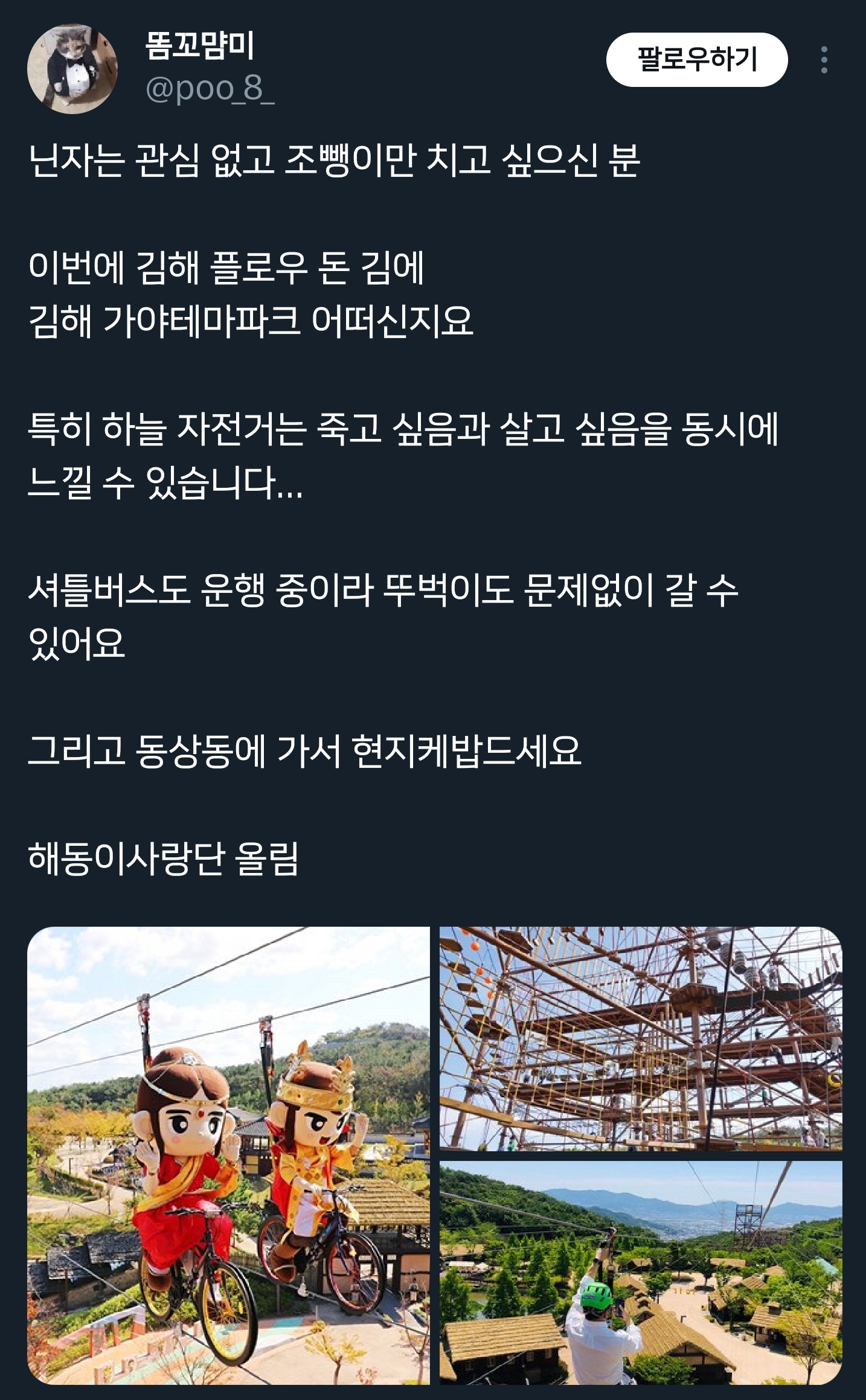 트위터에서 뜻밖의 붐업알티되고 있는 김해시.twt | 인스티즈