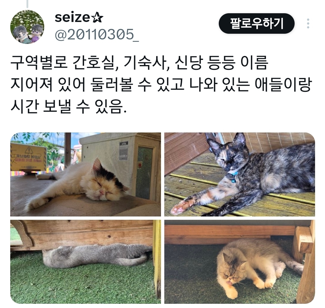 인천 영흥도에 있는 고양이역.jpg | 인스티즈