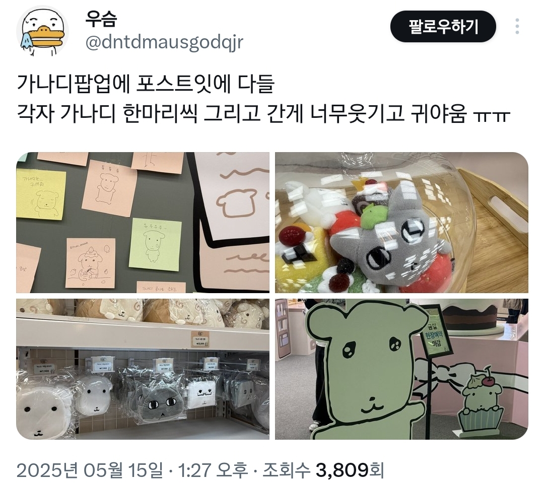 오늘 오픈한 듀..가나디 팝업스토어 상황.twt | 인스티즈