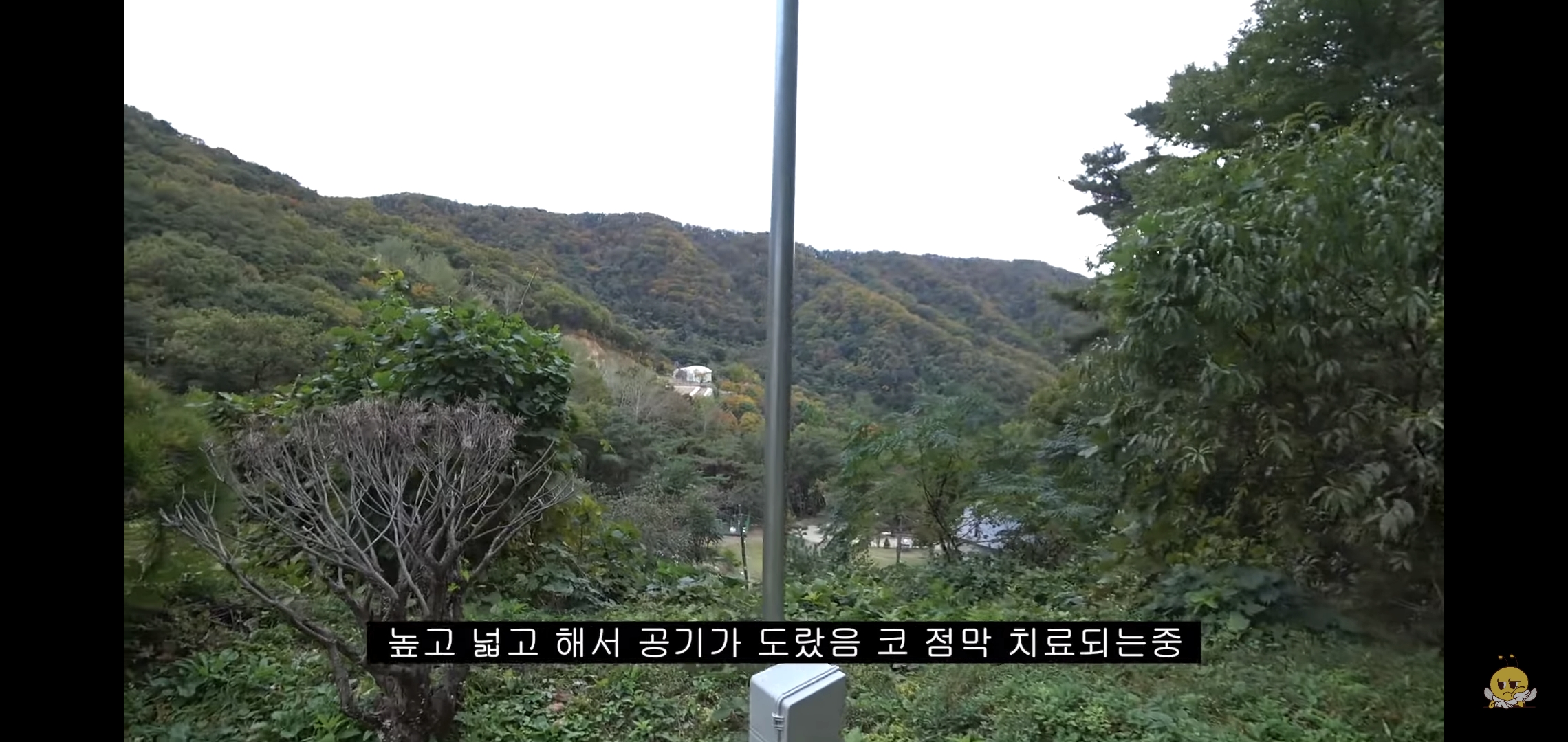 갑자기 유튜버 집에 들어온 떠돌이개가 알고보니 부잣집 도련님이었음.jpg | 인스티즈