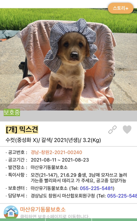 사랑이 느껴지는 포인핸드의 담당자들 | 인스티즈