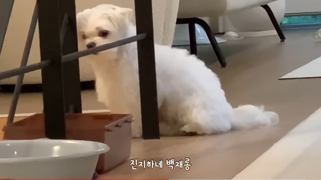 새로 이사온 주택에 물이 새요.jpg | 인스티즈