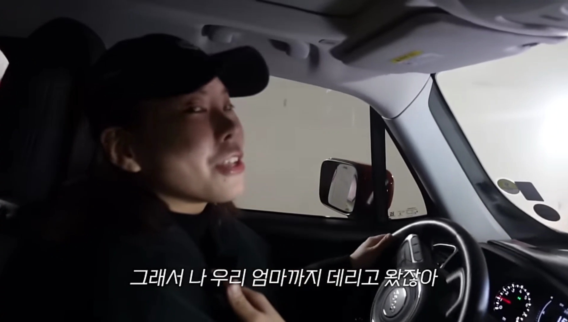 드디어 강아지 입양한 가비.youtube | 인스티즈