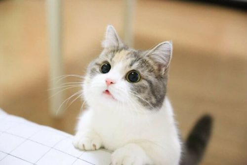 주변에서 많이 볼 수 있는 모녀(母女)조합.jpg | 인스티즈