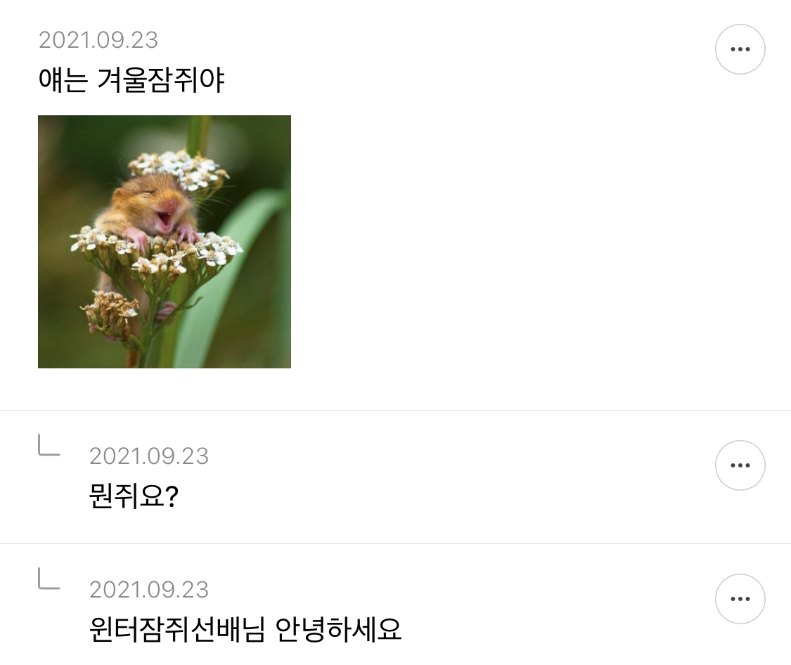 쥐띠만한 개노간지 띠도 없다고 생각하는 달글 캡쳐ㅋㅋㅋㅋ.jpg | 인스티즈