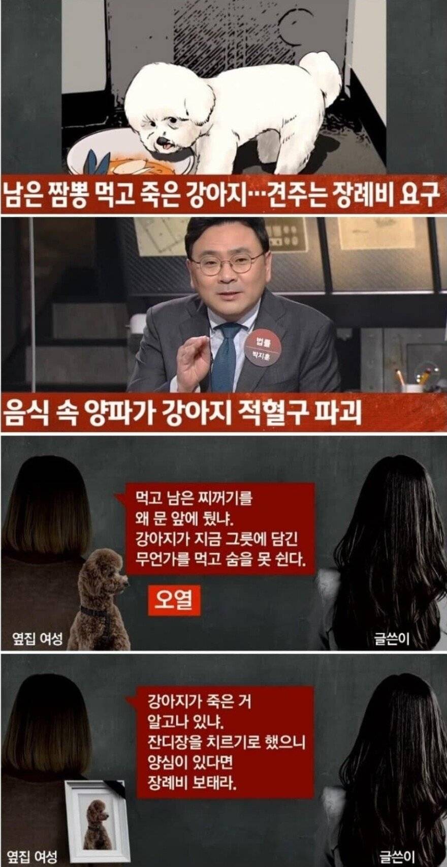짬뽕 그릇 내놓은거 먹고 죽은 강아지 | 인스티즈
