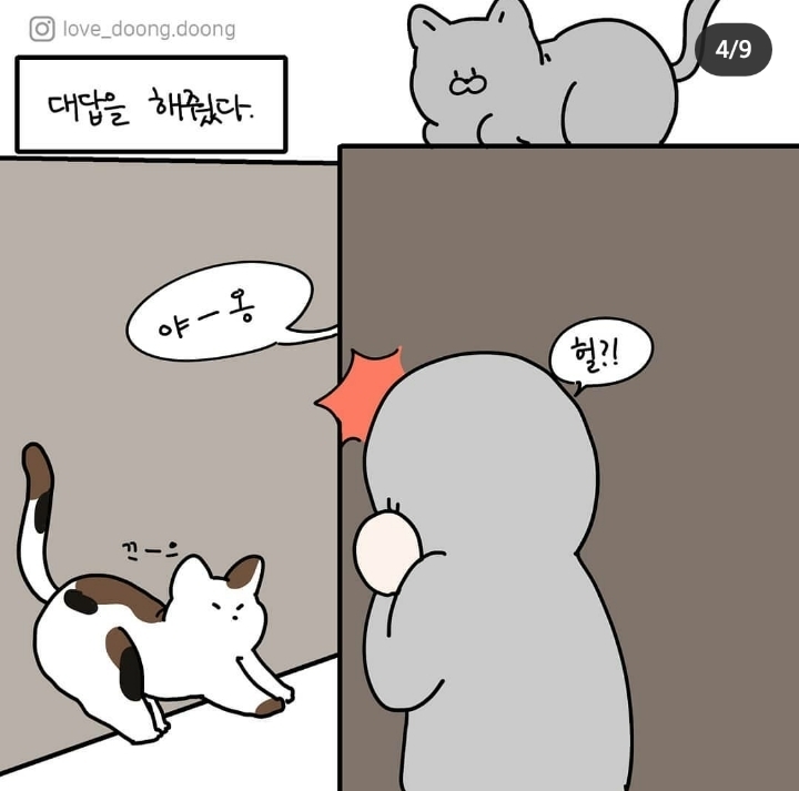 고양이랑 대화하는 방법.jpg | 인스티즈