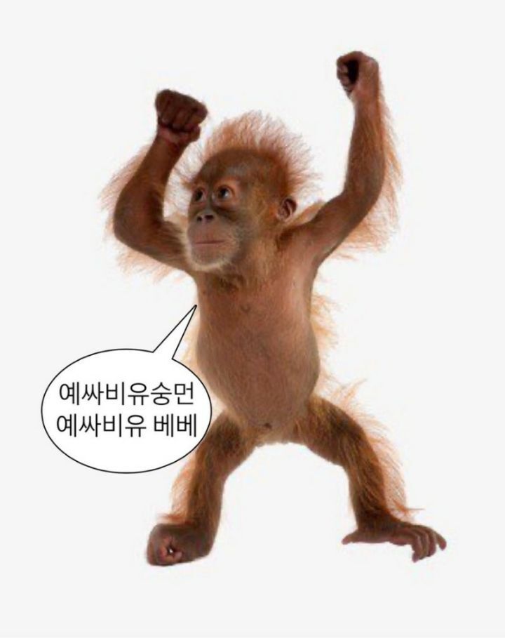 통장 잔고에 얼마 이하로 내려가기 시작하면 불안한지 달글 | 인스티즈