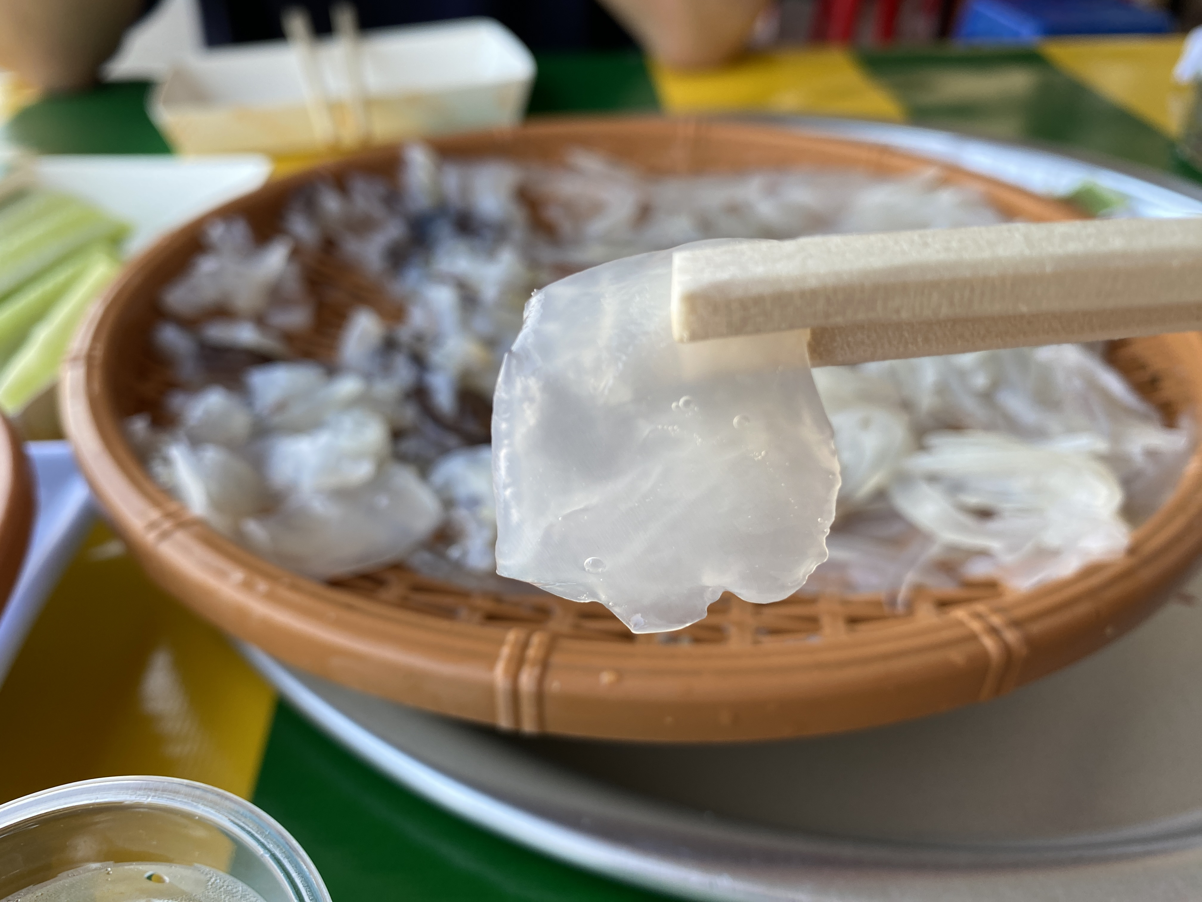 강원도 가서 먹기만 하는 강원도(속초) 쳐돌이가 먹는것들 🦑🦀🐟 | 인스티즈