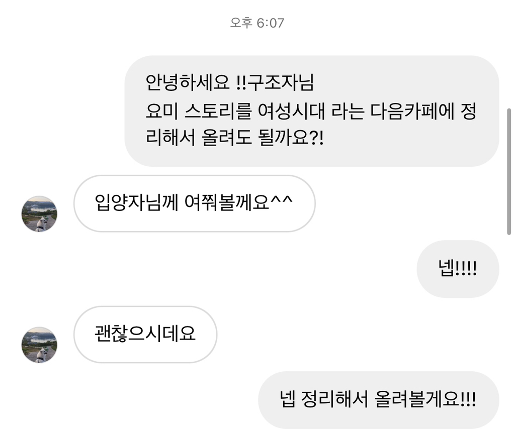 기적에 기적이 이어진 강아지 요미의 이야기 | 인스티즈