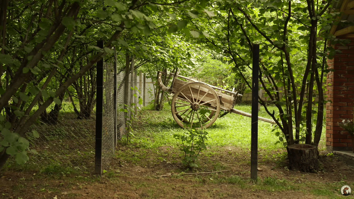 요즘 유튜브에서 은근히 인기 많다는 외국 시골 브이로그...jpg | 인스티즈