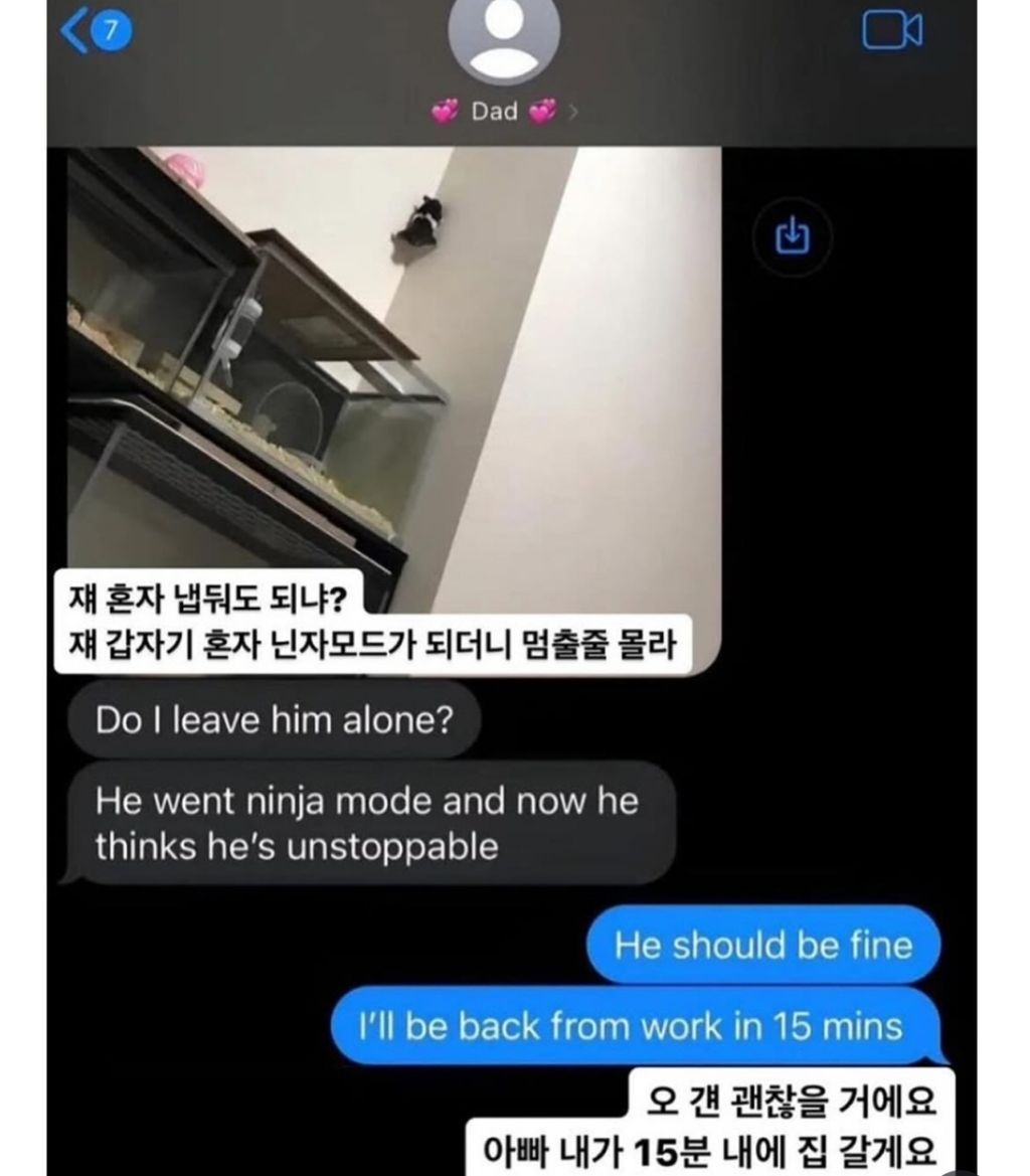 집에 언제 오냐고 아빠가 물어보는데 | 인스티즈