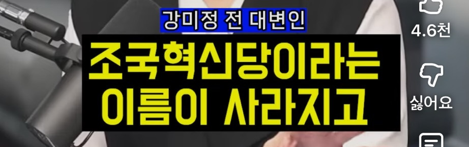 당 내 성비위 피해자 되려 고소한 조국혁신당 성비위 가해자들 | 인스티즈