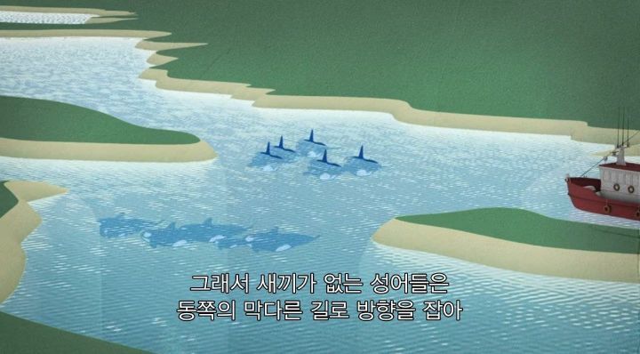 어느날 소방서에 고래가 조련사를 잡아 먹었다는 신고가 들어왔다 .jpg (스압주의) | 인스티즈