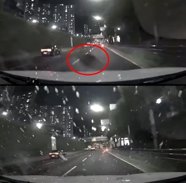 주행 중 車에 음식 쓰레기가 뚝…"청국장 냄새 진동” | 인스티즈