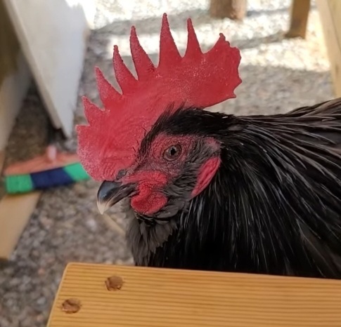 매맞는 삶을 살고 있는 매탈남 근황.jpgif | 인스티즈