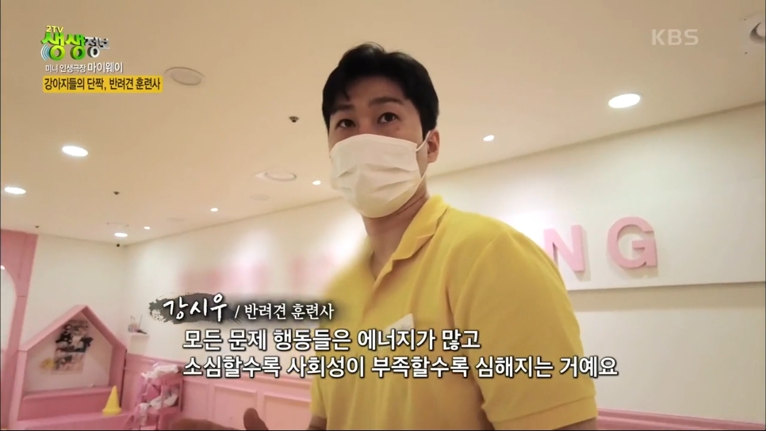 강아지 유치원.jpg | 인스티즈