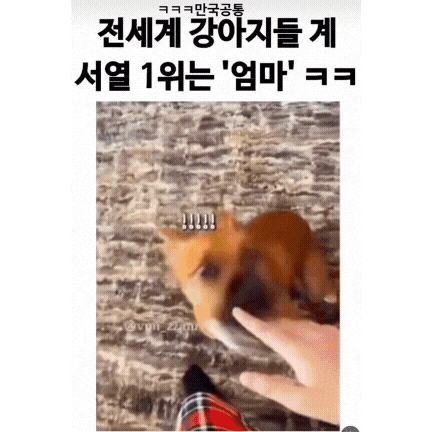 서열 1위 | 인스티즈