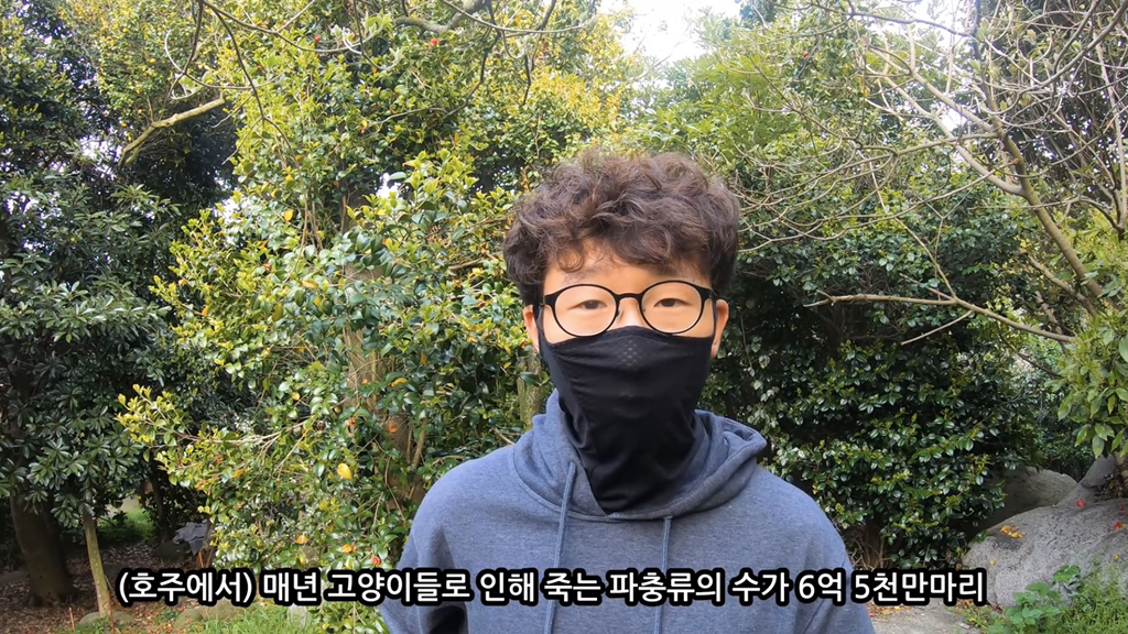 고양이가 자연생태계에 끼치는 심각한 영향(새 사체사진있음) | 인스티즈