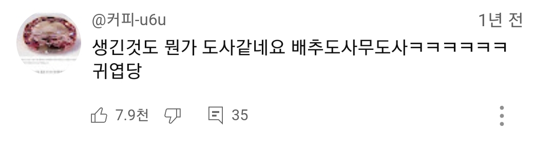 강아지 어질리티 대회 나온 고인물 강쥐ㅋㅋㅋㅋㅋㅋㅋ | 인스티즈