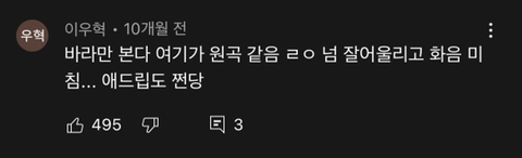 V.O.S가 몰래 숨겨뒀던 원곡인거같다는 반응이 계속 나오는 '바라만본다' 커버 | 인스티즈