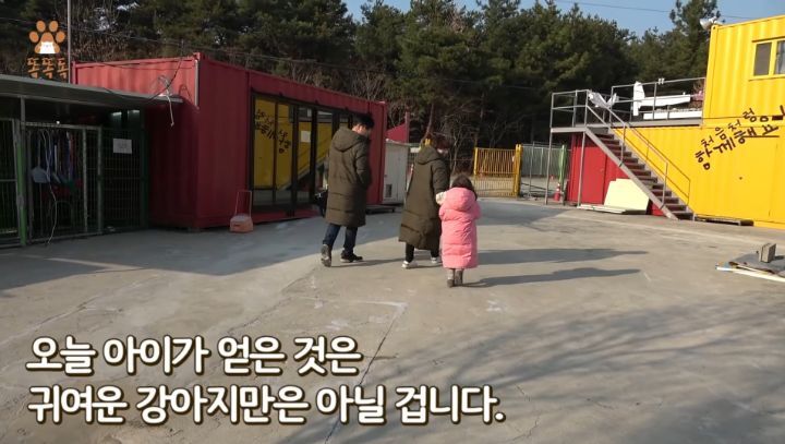 7살 아이 눈에 비친 유기견 보호소는? | 인스티즈