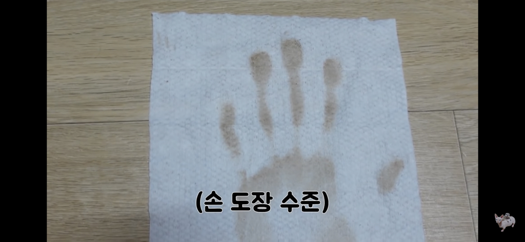 털이 없는 스핑크스는 키우기 편할까? (위생주의) | 인스티즈