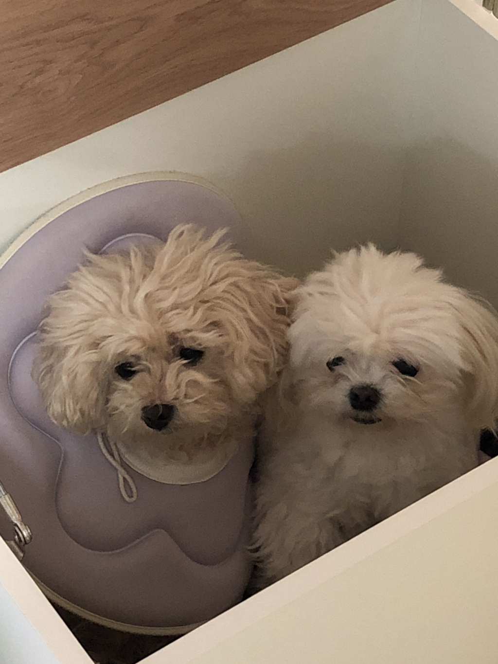 이 사진 너무 신기하지 | 인스티즈