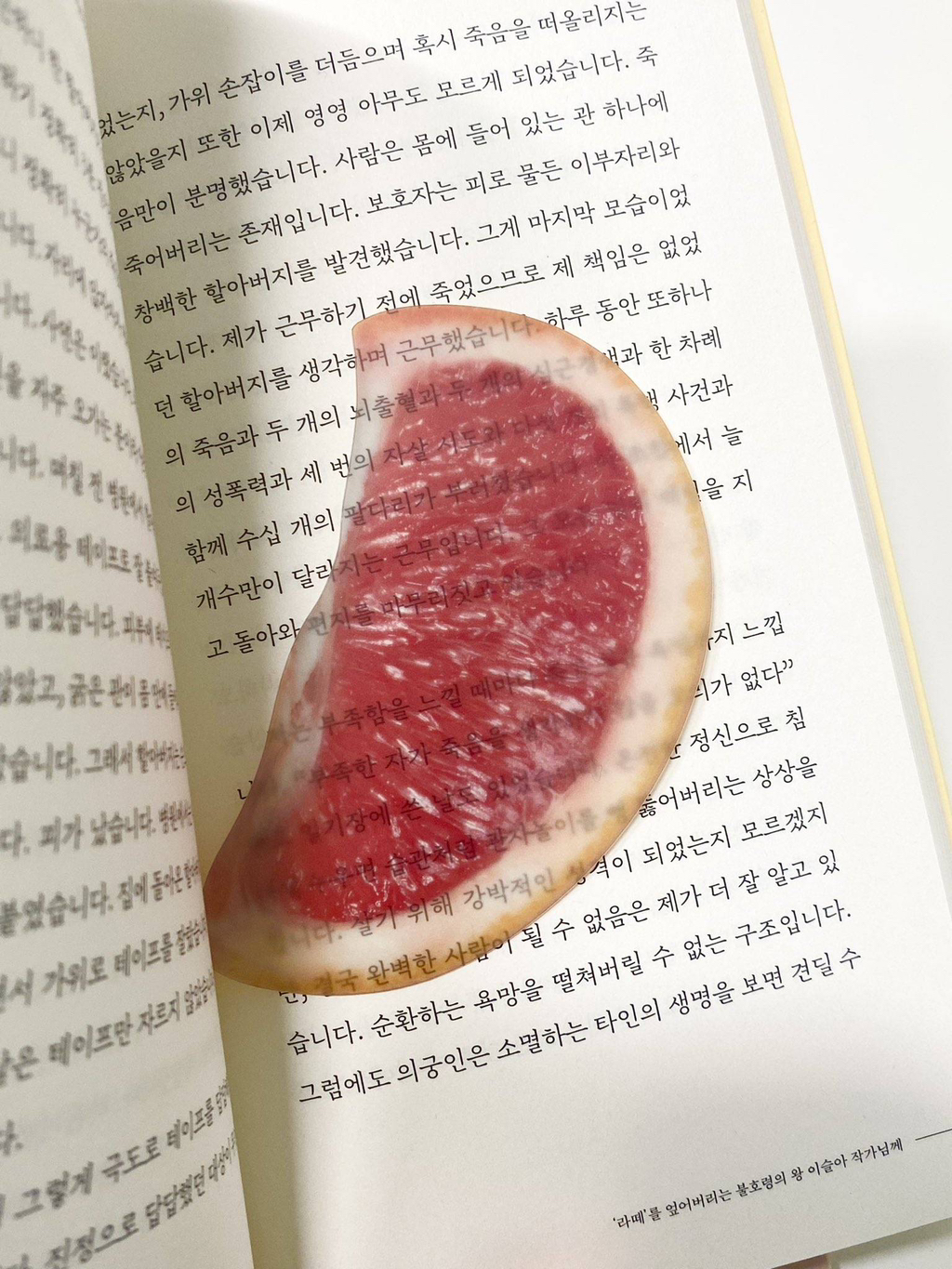 옥토 이미지