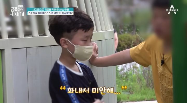 [금쪽같은내새끼] 뇌파전사 금쪽이 곁의 천사,"형이 너랑 매일 같이 있을 순 없어" | 인스티즈