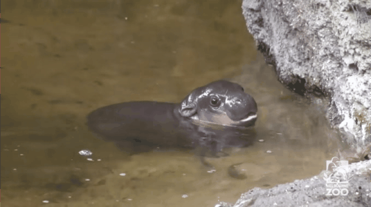 5dff7833402e570bae4149f6ac5d43bd1001468e