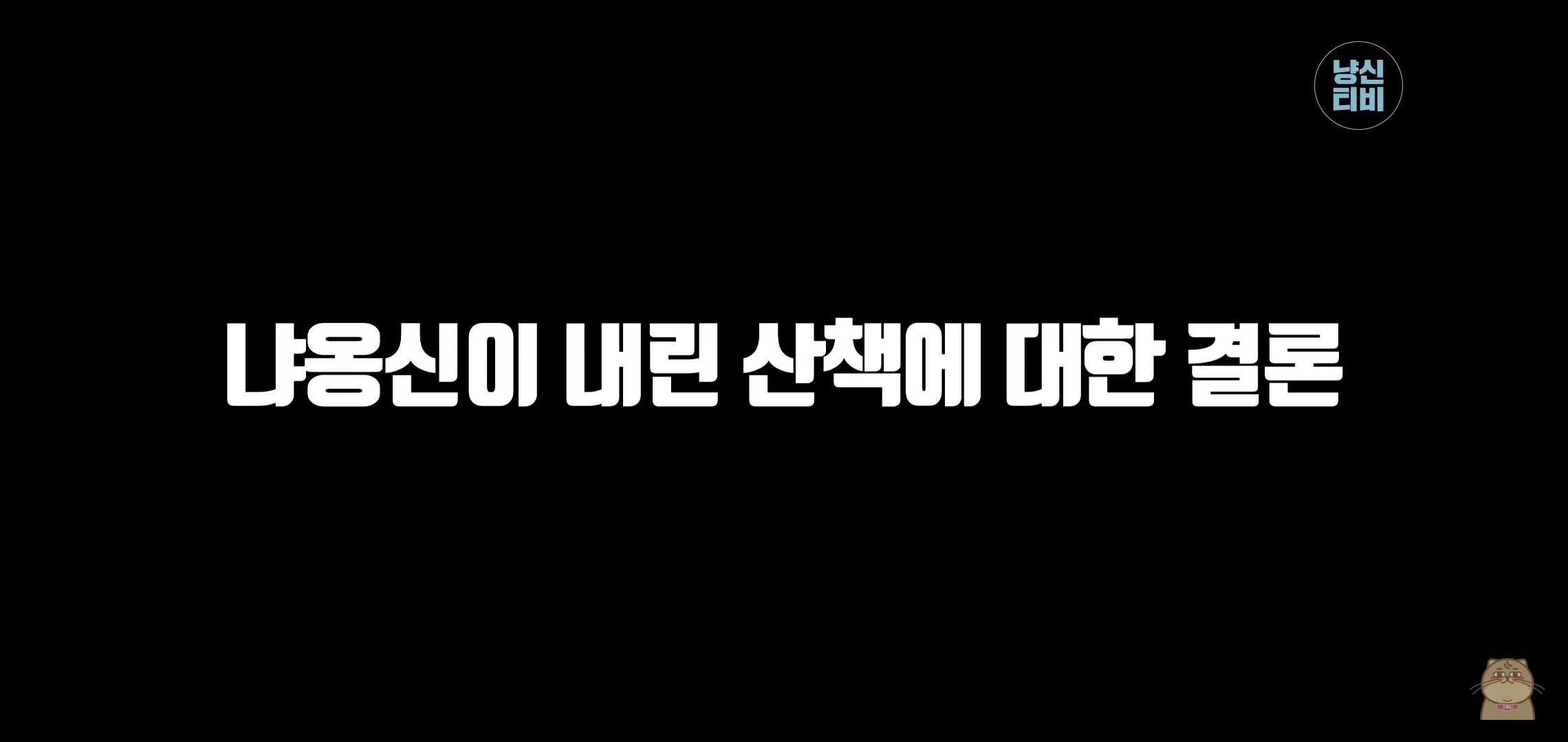 고양이 산책? 하지마!!!!! | 인스티즈