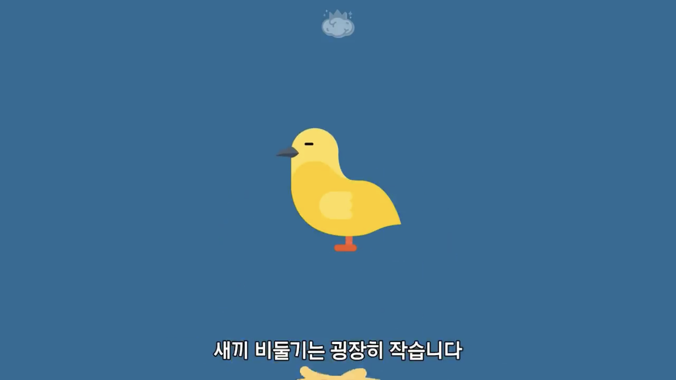 거리에 비둘기가 이렇게 많은데 왜 새끼 비둘기는 안 보일까? | 인스티즈