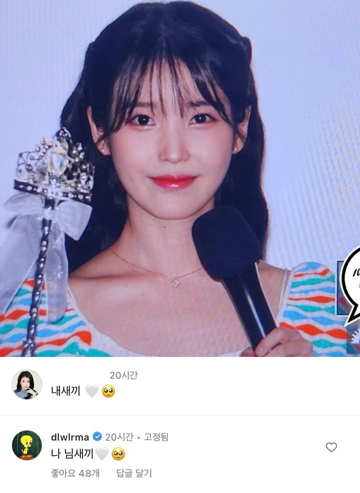 아이유가 인스타에 달고 있는 댓글 | 인스티즈
