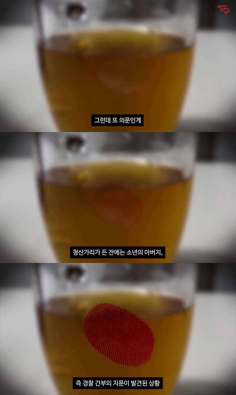 범인을 알아도 잡을 수 없는 일본 3억엔 탈취사건 | 인스티즈