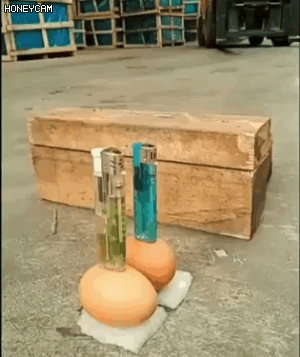 숙련된 지게차 운전수가 돈을 많이 받는 이유.gif | 인스티즈