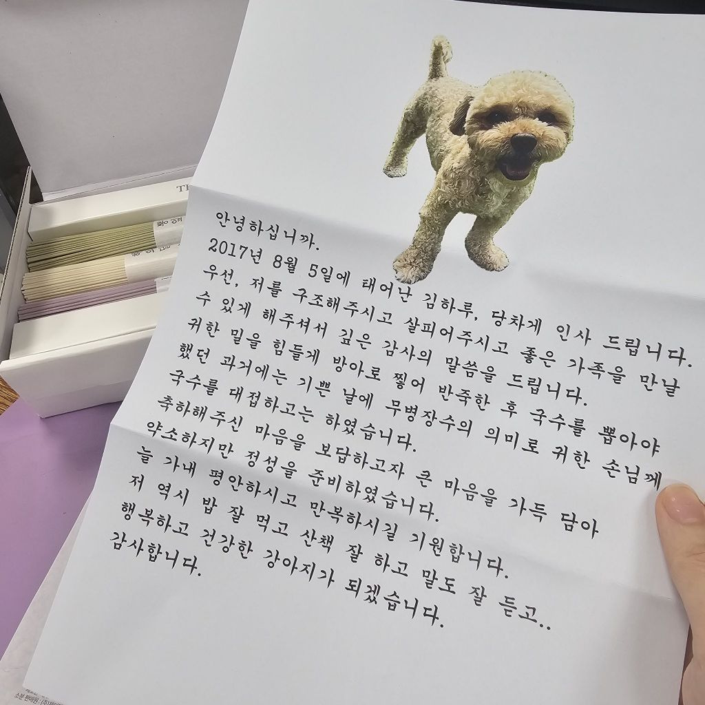 입양 보낸 강아지가 편지를 보내왔다 | 인스티즈