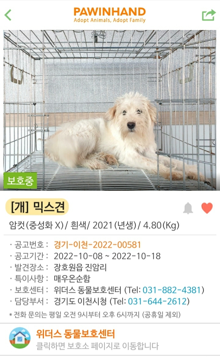 한달이넘도록 작은 철장에서 착하게 기다리고 있어요 | 인스티즈