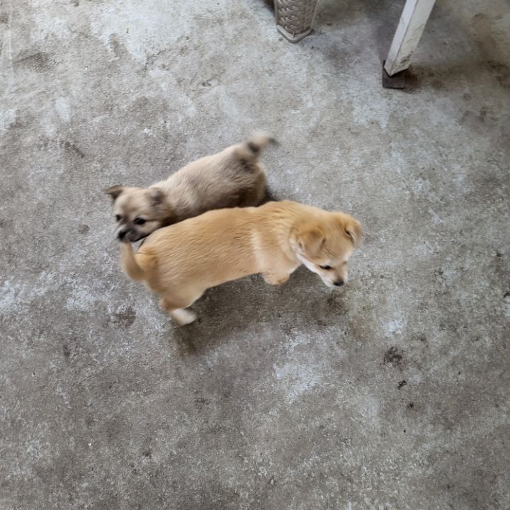 (공지라니... ++추가)새로생긴 회사 복지.. 미쳐서 도저히 일을 못하겠네.. (추가....)++추가 | 인스티즈