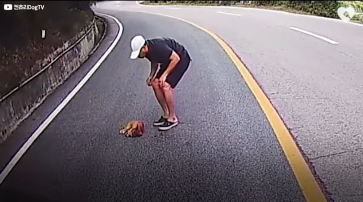 운전하다 댕줍하신 어느 운전자분 사연...ㅠㅠ | 인스티즈