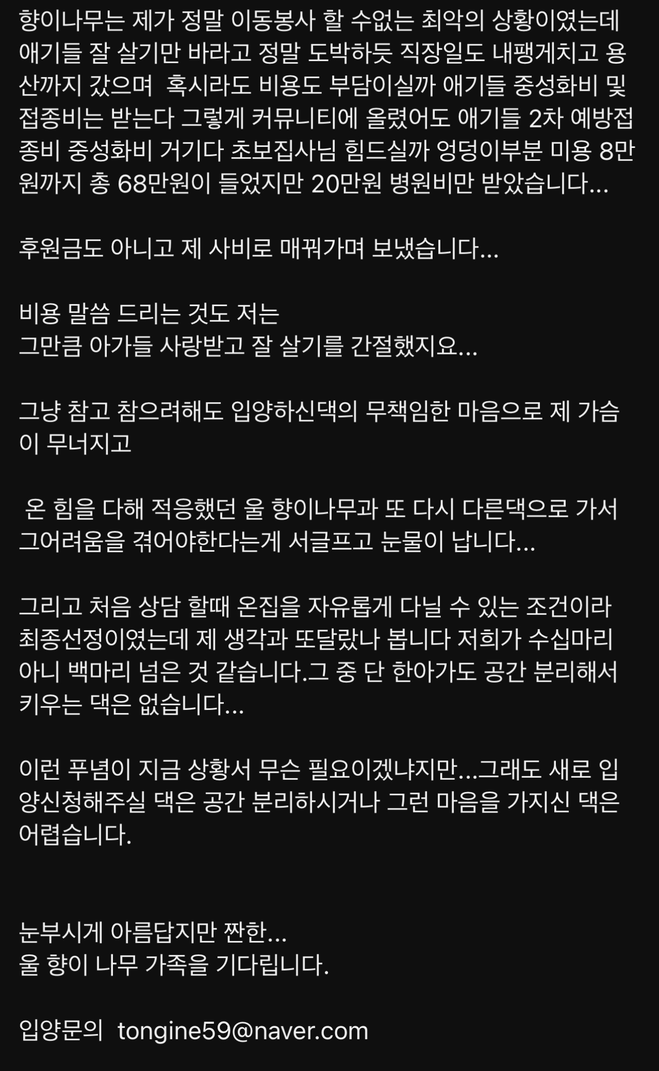 구조된 고양이가 입양갔는데 사람을 너무 잘 따른다는 이유로 파양됨 | 인스티즈