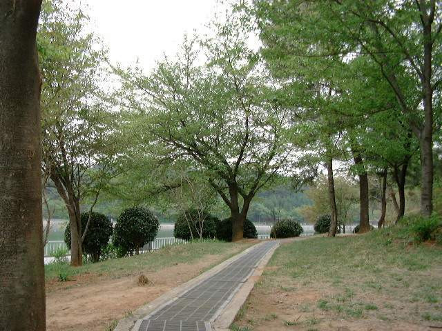 경상남도 창원시 의창구 용지공원과 그 주변 옛 모습.jpg | 인스티즈