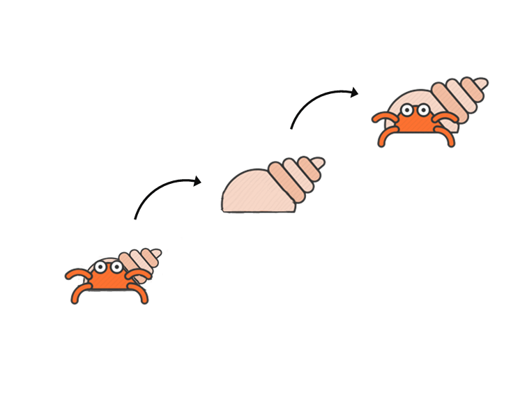 소라게의 새 집 구하기 | 인스티즈