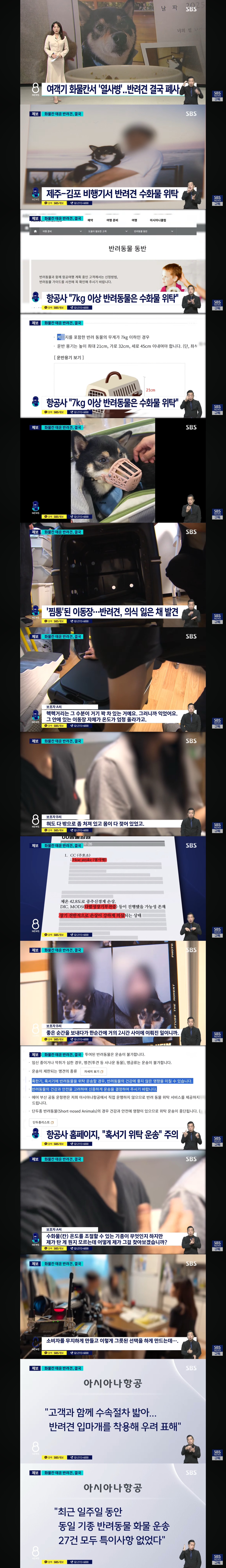 여객기 화물칸서 '열사병'.. 반려견 결국 폐사 | 인스티즈
