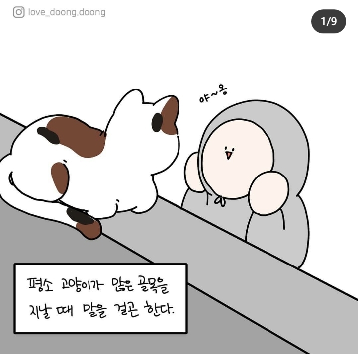 고양이랑 대화하는 방법.jpg | 인스티즈